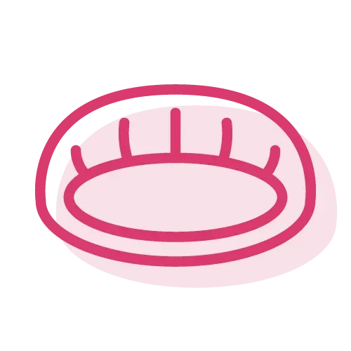panier de chien