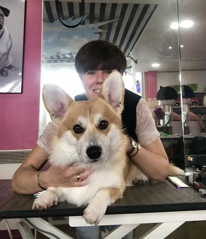 toilettage canin
