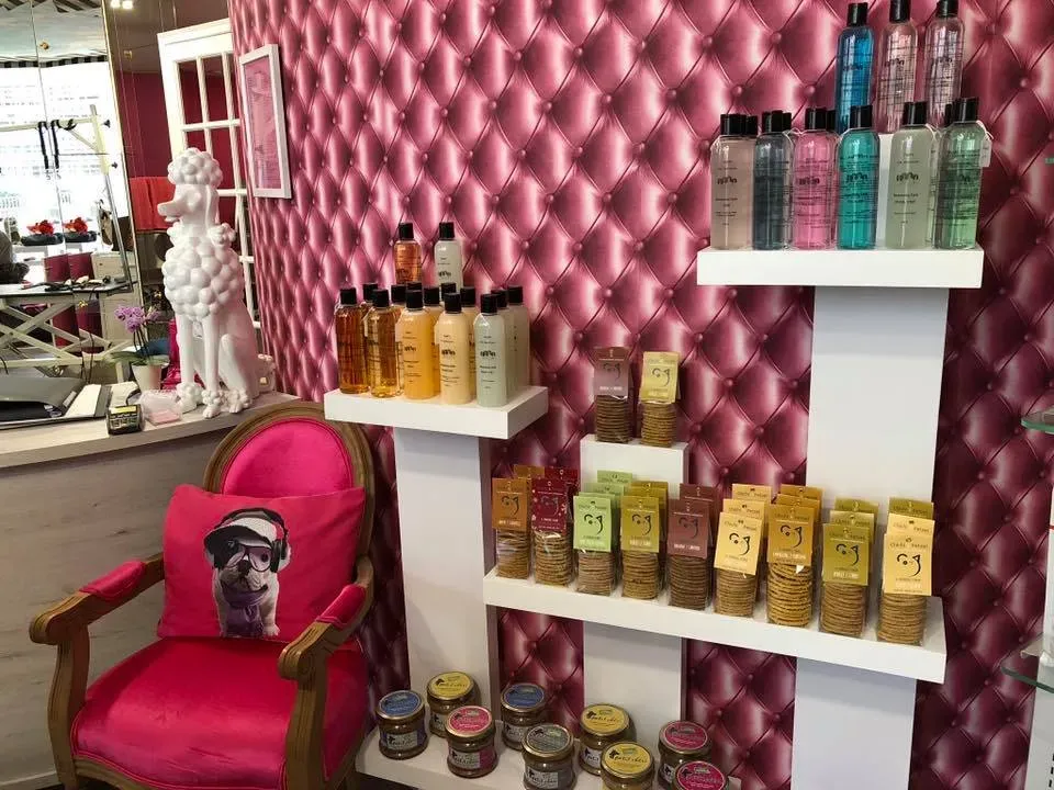 produits pour chien
